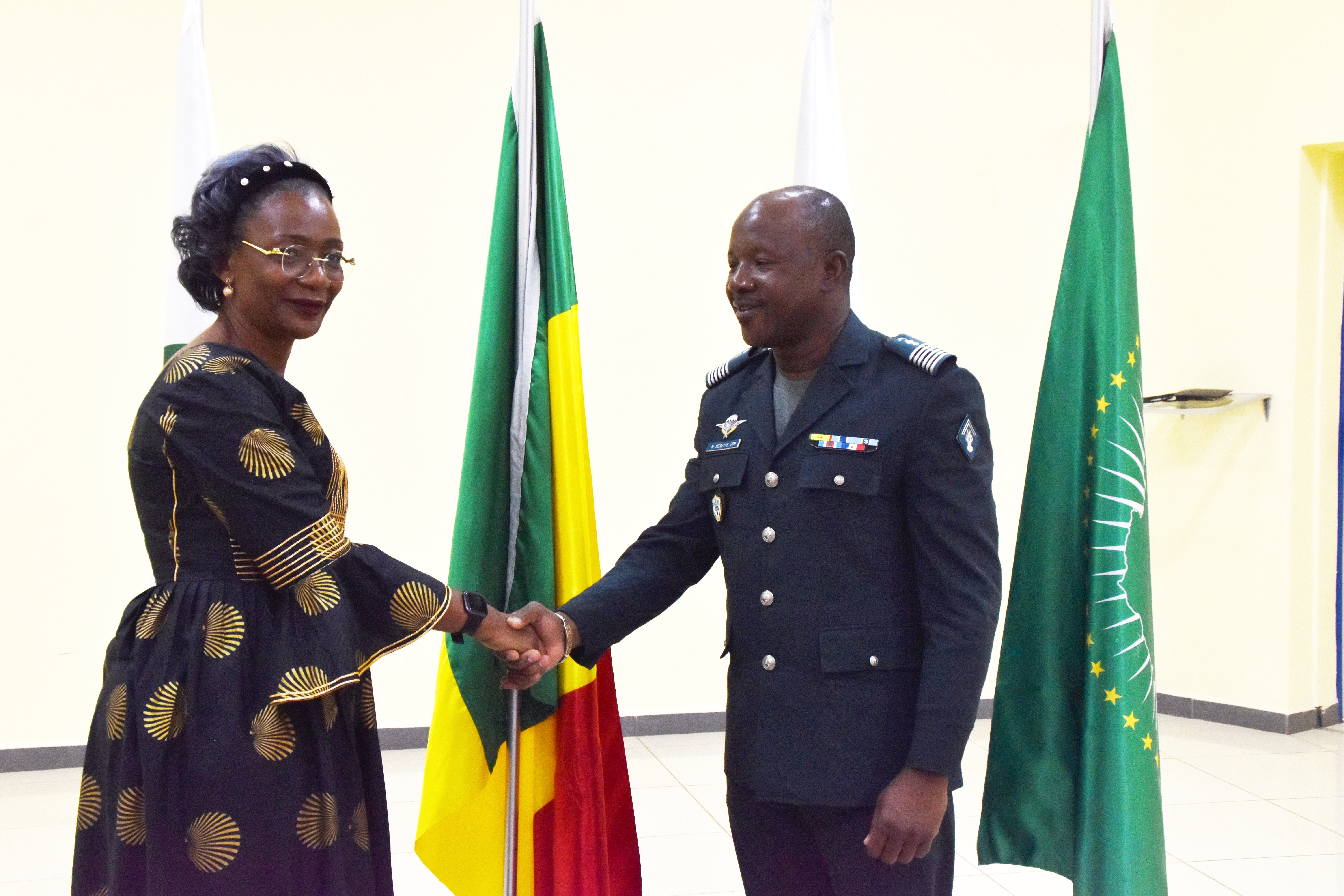 AFRICAN PEACE SUPPORT TRAINERS ASSOCIATION (APSTA)